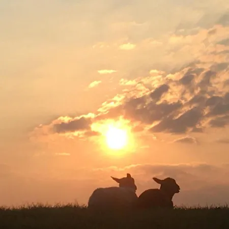 Annemaries Nordseehaus Apartment