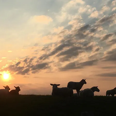 Apartment Annemaries Nordseehaus Butjadingen