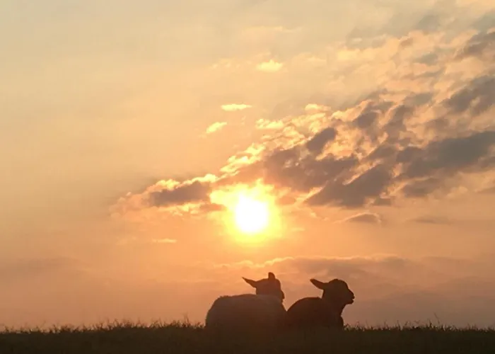 Annemaries Nordseehaus Apartment