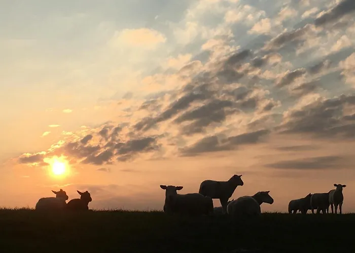 Apartment Annemaries Nordseehaus Butjadingen