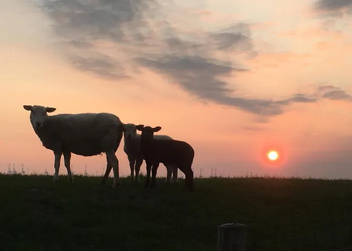 Apartment Annemaries Nordseehaus *