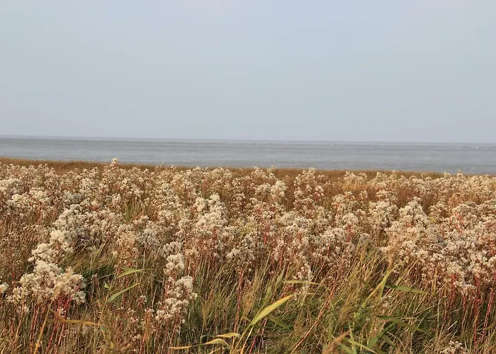 Annemaries Nordseehaus